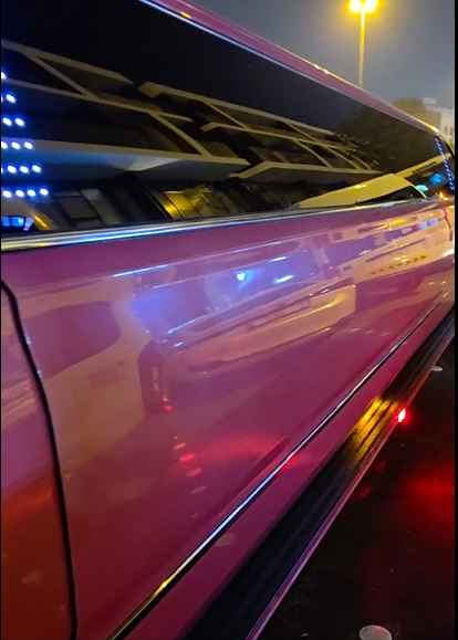 Gallery Video 1